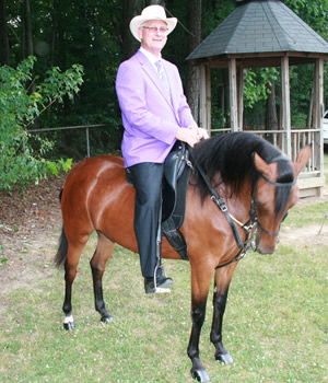 paso fino sale