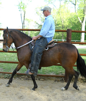 paso for sale